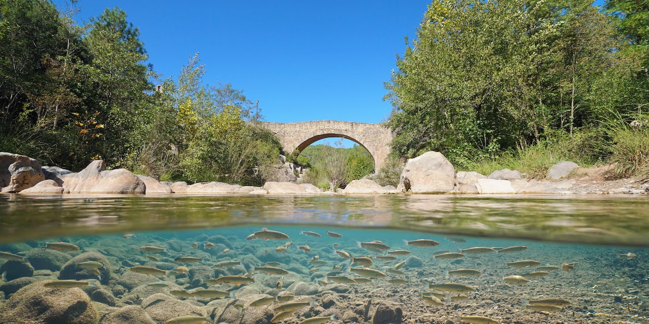 Sant Llorenç de la Muga